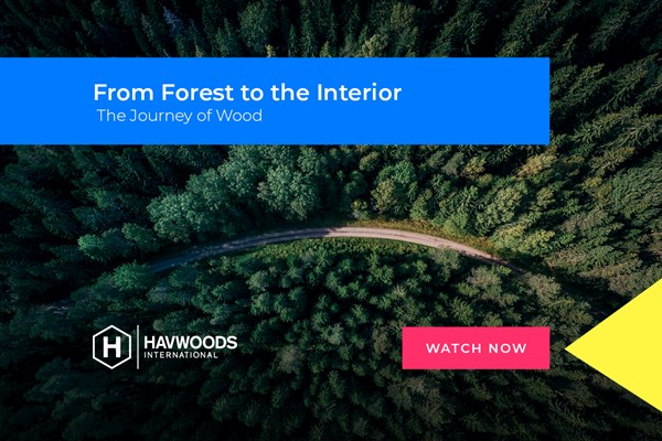 From Forest To The Interior - The Journey of Wood