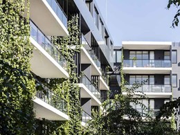 How vertical gardens can combat climate change