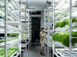 Hydroponics-based vertical farming with pop-up macro farm created at Southbank site