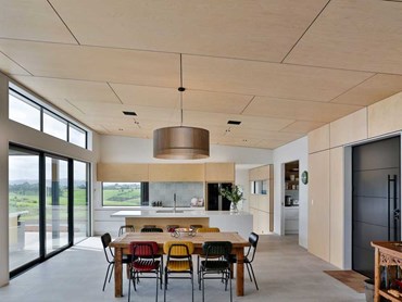 Birch ply on the walls and high raking ceilings of the living areas