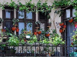 8 tips for creating a lush garden retreat on your balcony 