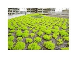 VersiDrain 25P drainage and water retention trays from Green Roof Technologies installed at HDB car park in Singapore