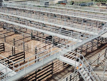 SAYFA’s modular KOMBI aluminium stairs and platform access systems at Kyneton Saleyards