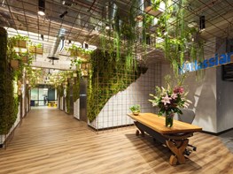 Jungle theme keeps Atlassian offices in the green