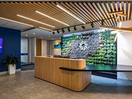 How can biophilic design impact an interior space?