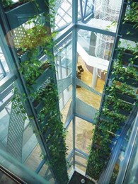 Fytogreen designs green element on aged care facility atrium with 88 planter boxes