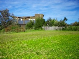 Victa survey reveals interesting insights into lawns