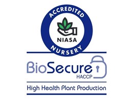 Plant Tiles achieves BioSecure HACCP certification