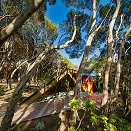 Secretive VIC house grows out of the land, moves in time with trees