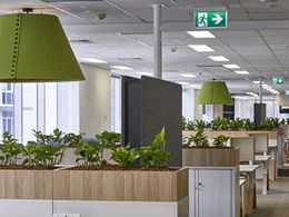 The role of sustainable flooring in biophilic design 