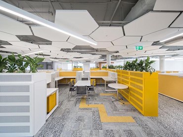 Armstrong acoustic systems in office