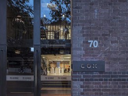 Curated lighting brings Cox Architecture’s Sydney studio to life