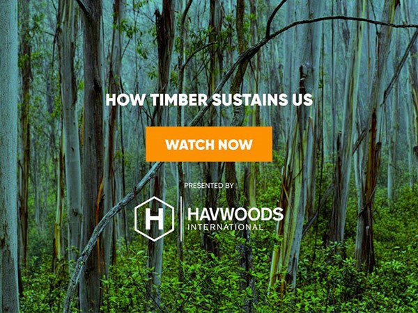 How Timber Sustains Us