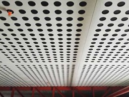 Perforated ceiling panels provide exceptional acoustics at innovative school
