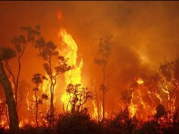 Fire is a chemical reaction. Here’s why Australia is supremely suited to it