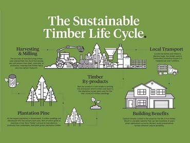 Timber lifecycle

