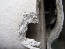 Identifying asbestos in the building