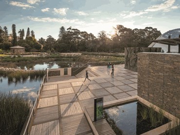 Adelaide Botanic Gardens Wetland by T.C.L. Images: supplied
