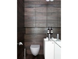 Rogerseller Catalano Sfera wall hung toilet offers soft lines and circular form