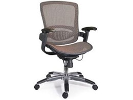 Tedo executive office mesh chair available from Endo Commercial Fitout