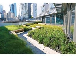 Embracing the green roof garden trend: Environmental, social and financial benefits
