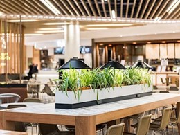 Bench lamps customised for food court at Melbourne’s Chadstone Shopping Centre