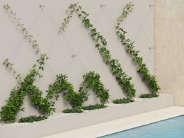 Stainless steel systems for green walls 