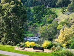 Making merry: How we brought Melbourne’s Merri Creek back from pollution, neglect and weeds