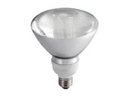 Ace Lighting offers PAR38 compact fluorescent lamps