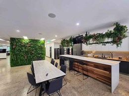 Tiltiter office upgraded with vertical garden and ceiling planter