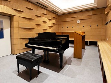 Custom sawtooth walls created with Supacoustic and Supaline panels in the music room