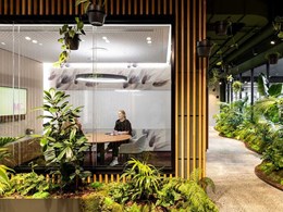 Why acoustic and visual comfort matters when designing spaces for wellbeing