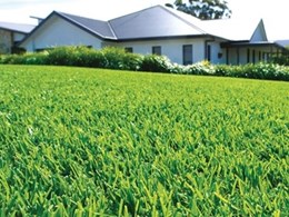 Lawn Solutions Australia groups accredited turf brands to simplify buying