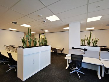 White tambour units with planter boxes at NAB's new office space