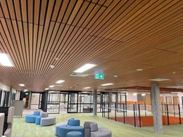 Unlocking sustainability: The power of recycled timber in modern projects