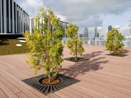 The importance of tree grates in hardscape design