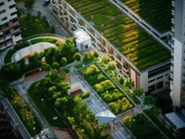 Green roofs can cool cities and save energy: Modelling