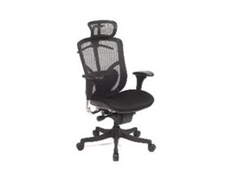 FX Executive chair from Frontline Office Furniture