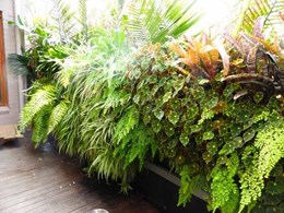 The evolution of greenwalls and their contribution to the 202020 Vision