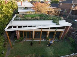 Architeam CPD Seminar explores what to consider when planning a green roof