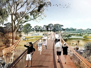 Boardwalks will elevate over the African grasslands at the proposed Western Sydney Zoo
