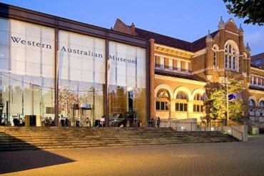 Perth&#39;s Western Australia Museum is set to receive a $428 million overhaul.
