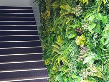 A green wall was installed on the stairway wall 