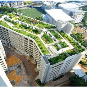 Green roofs and walls – we have them covered