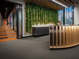K Rock recycles 47,250 bottles with EcoSoft carpet tiles in acoustic installation