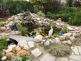 What’s the best water feature for your project?
