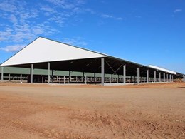 Why structural steel is better than C Purlin for sheds and shelters