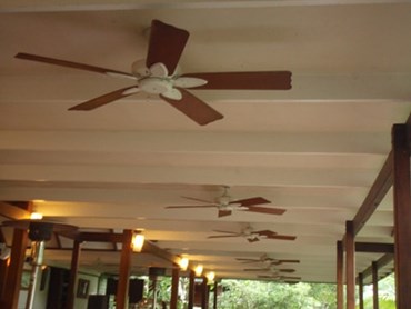 Most of the ceiling fans at the Lodge are from the Fanimation Collection
