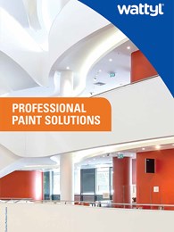 Professional Paint Solutions