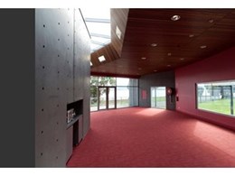 Screenwood Western Red Cedar used as acoustic ceiling panels in school project
